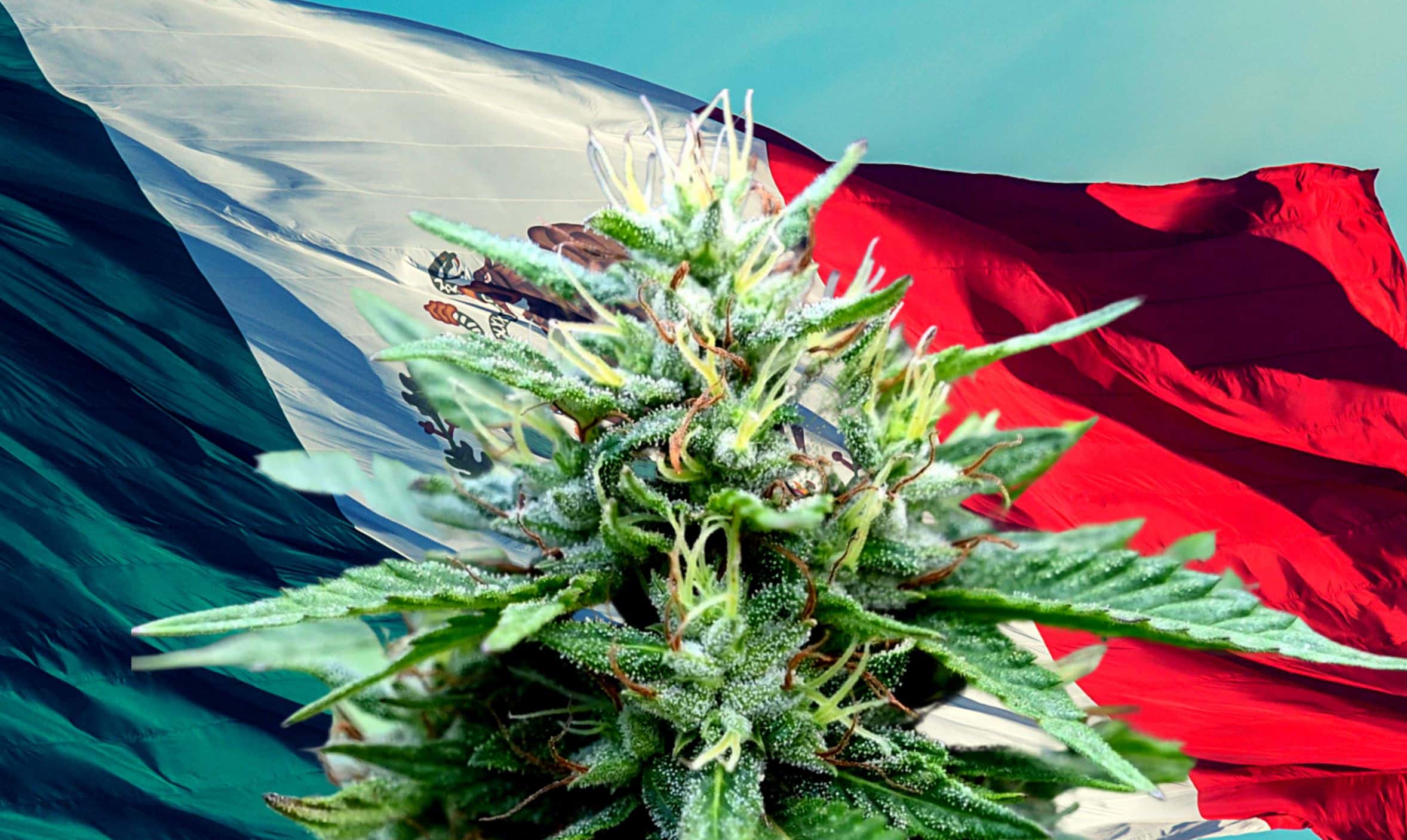 Mexico Senate Votes in Landslide To Legalize World’s Largest
Cannabis Market 1