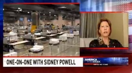 “It’s Massive, Criminal Voter Fraud! – It’s Going to Blow
the Mind of Everyone In This Country!” – Sidney Powell on Dominion
Systems (VIDEO) 1