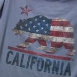 We Either Have Laws or We Don’t Have Laws: California
Violated Its Election Laws As Well – Results Are Likely
Invalid 16