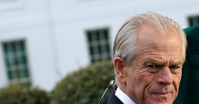 Peter Navarro: If Election Investigation Reveals Voter
Fraud, ‘Americans Deserve a Different Outcome’ 1