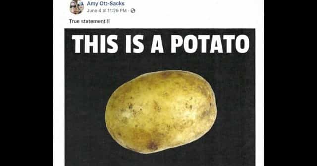 Principal Fired for Posting to Personal Facebook Page She
Would Rather Vote for a Potato than Joe Biden 1