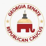 Here’s Why Georgia Senate Didn’t Decertify the Obviously
Corrupt 2020 Election Results in the State 14