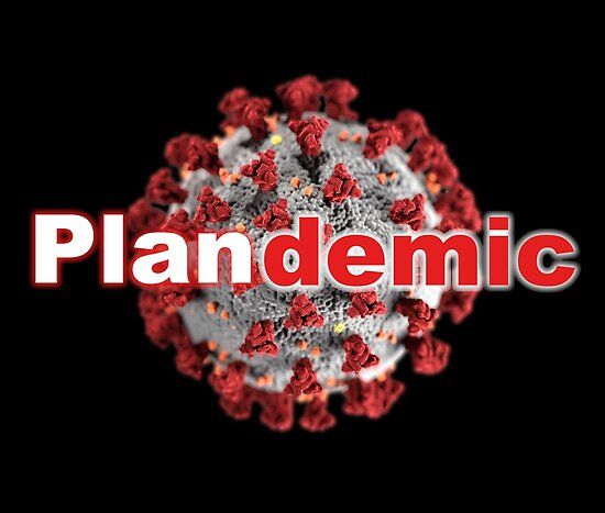 Plandemic Was Part of the Steel—in the Election Coup
Attempt! CDC Admits 1