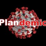 Plandemic Was Part of the Steel—in the Election Coup
Attempt! CDC Admits 13