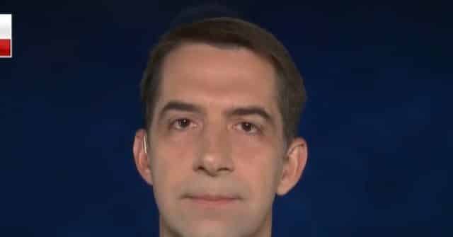 Cotton: Capitol Riot and GA Senate Loss 'The Result of
Misleading Claims' on Elections 1