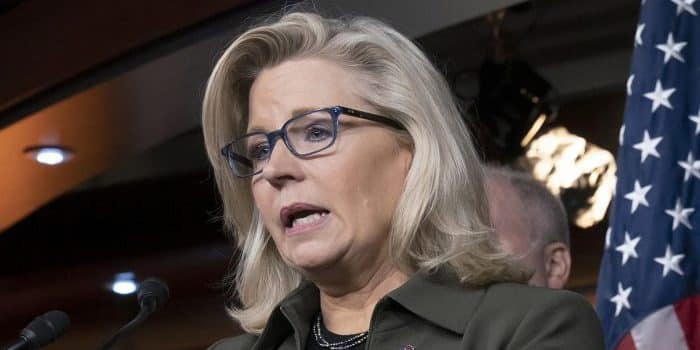 Corporate PACs Boost Liz Cheney as Trump Opposes Her
Reelection 1