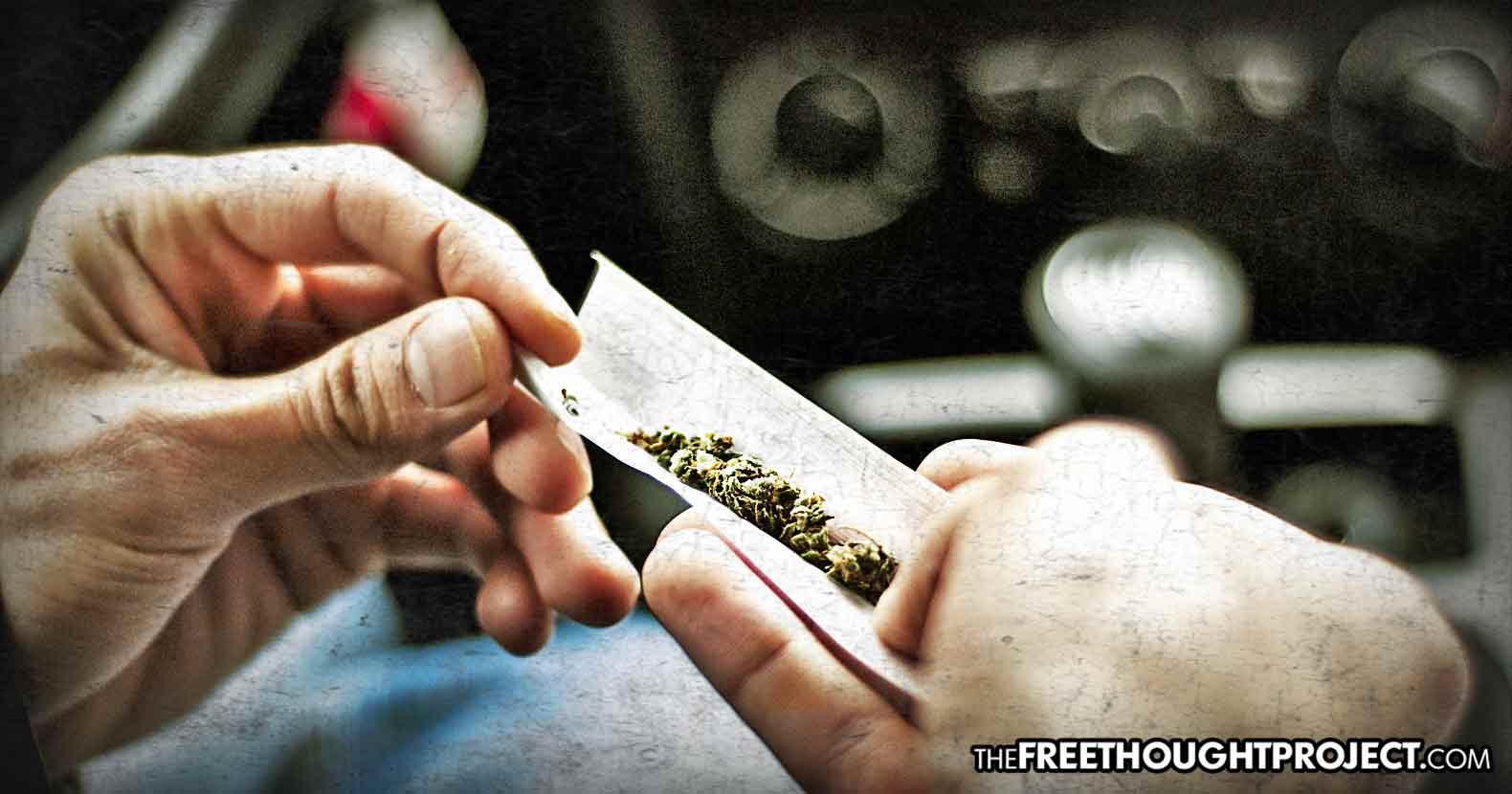 Despite Government Fear Mongering, Arizona Sees DUIs Drop
After Cannabis Legalization 1