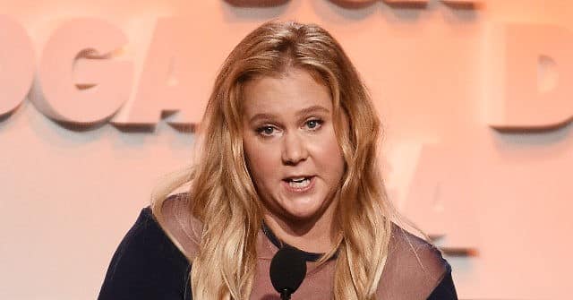 Amy Schumer Backs Michelle Obama's Effort to Promote
Election Bill Gutting Voter Identification Requirements 1