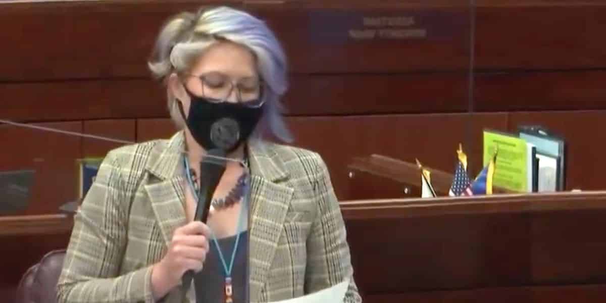 Nevada lawmaker comes out as a cisgender pansexual during
floor speech 1