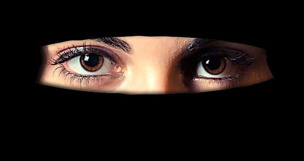 Swiss voters push back against fundamentalist Islam, ban
female face coverings 1