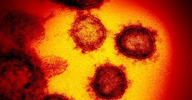 Researchers Discover 'Double Mutant' Coronavirus Variant in
California 1