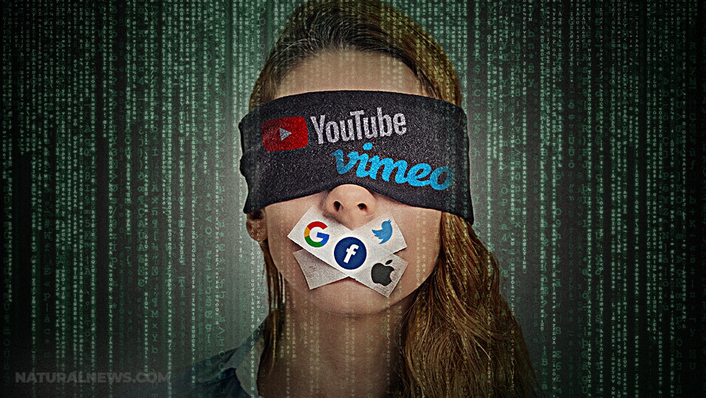 Texas Senate passes bill protecting users from Big Tech
political censorship 1