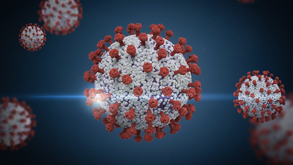 Post-vaccine strain? Michigan reports first confirmed case
linked to Brazilian P1 coronavirus variant 1