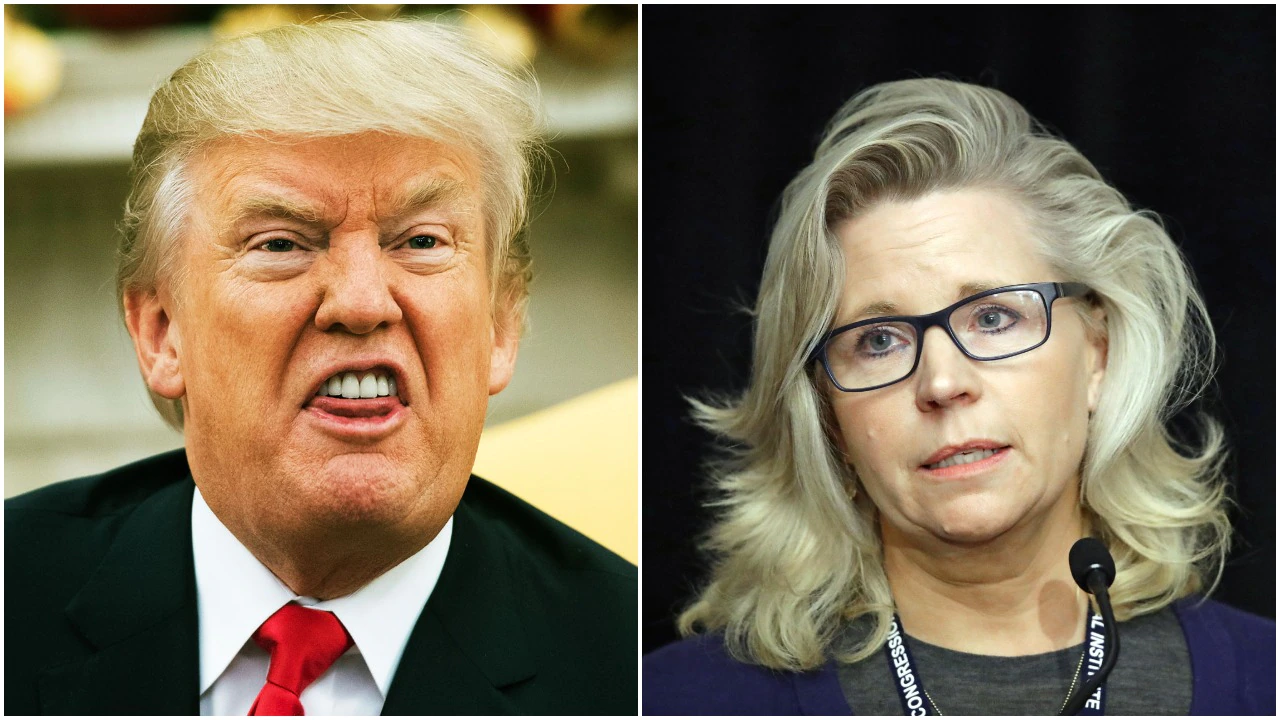 Donald Trump Says He Will Endorse a Challenger to ‘Crazy Liz
Cheney’ in Order to Prevent a Split Primary Vote 1