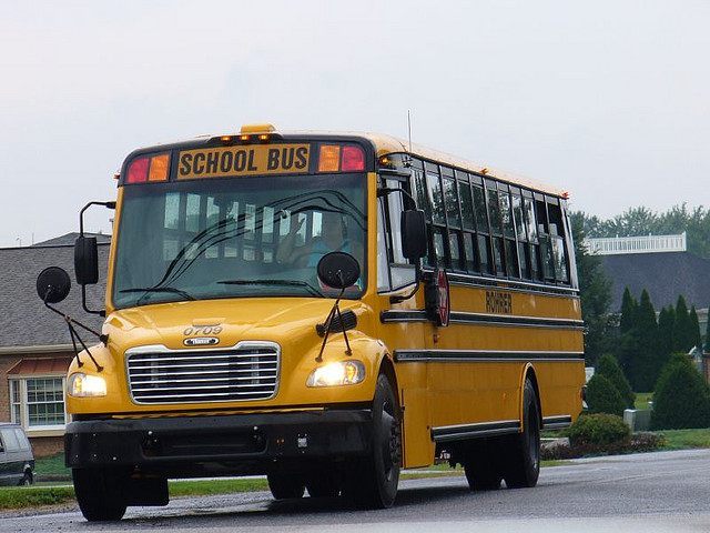 WATCH: Deer Crashes Through Virginia School Bus Windshield,
Lands on Student 1