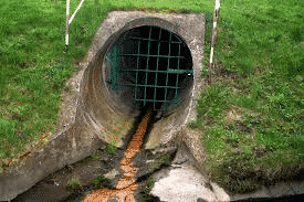 Wisconsin to liquefy the dead, flush into sewers, then
spread the goo on food farms 1