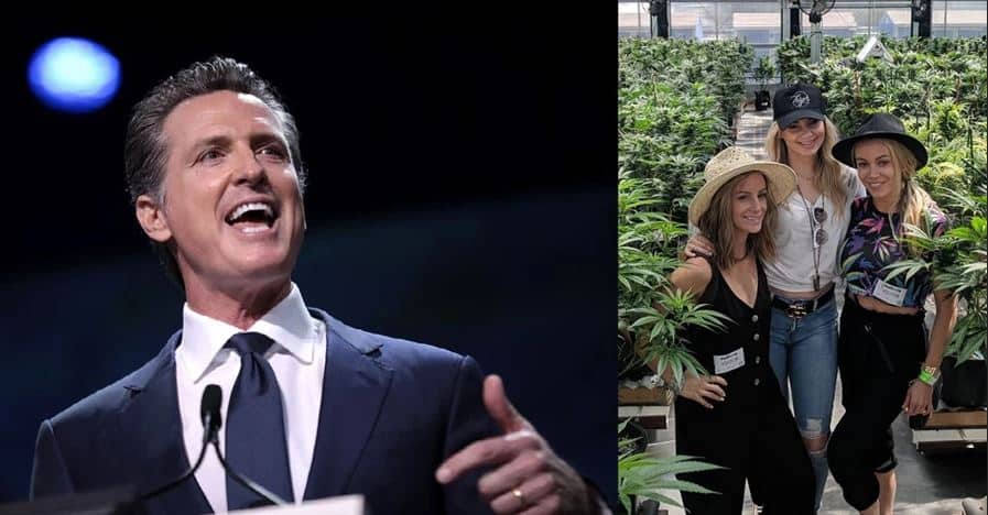 California’s $100 Million Marijuana Bailout Tells You All
You Need to Know about Its Government 1
