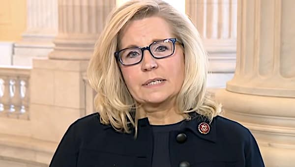 Polling shows nearly 8 of 10 Republican primary voters
oppose Liz Cheney 1