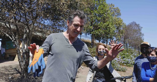 Gavin Newsom Tells Democrats Not to Vote on Recall Candidate
Question 1