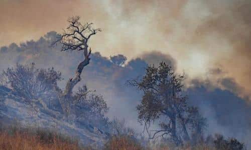 County Supervisors Blame Bad Policies - Not Climate Change -
For California Wildfires 1