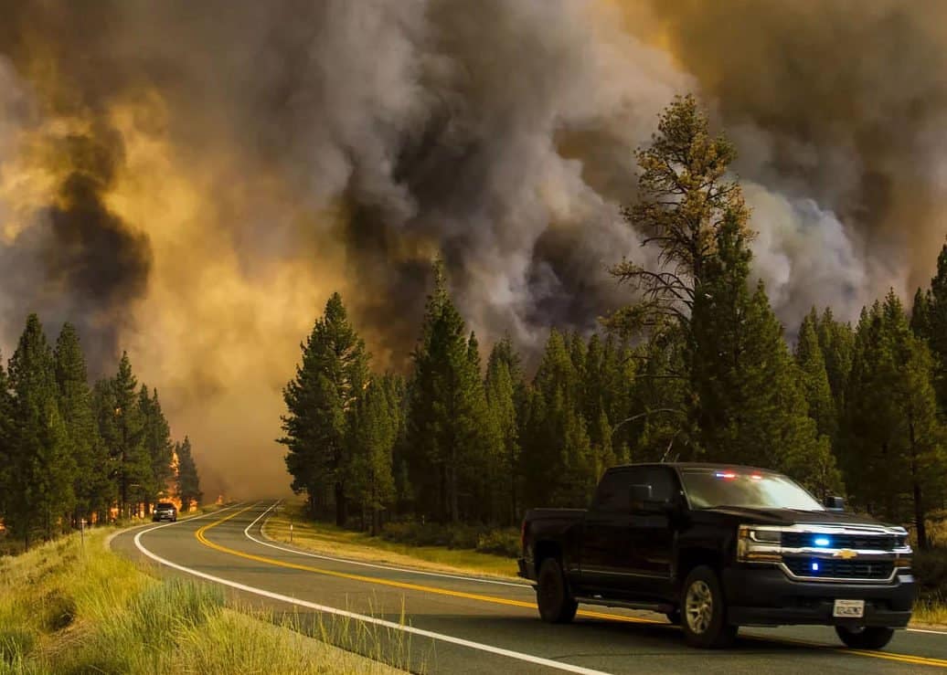 California Wildfire Devastation Was Entirely Preventable
Through Proper Land Management 1