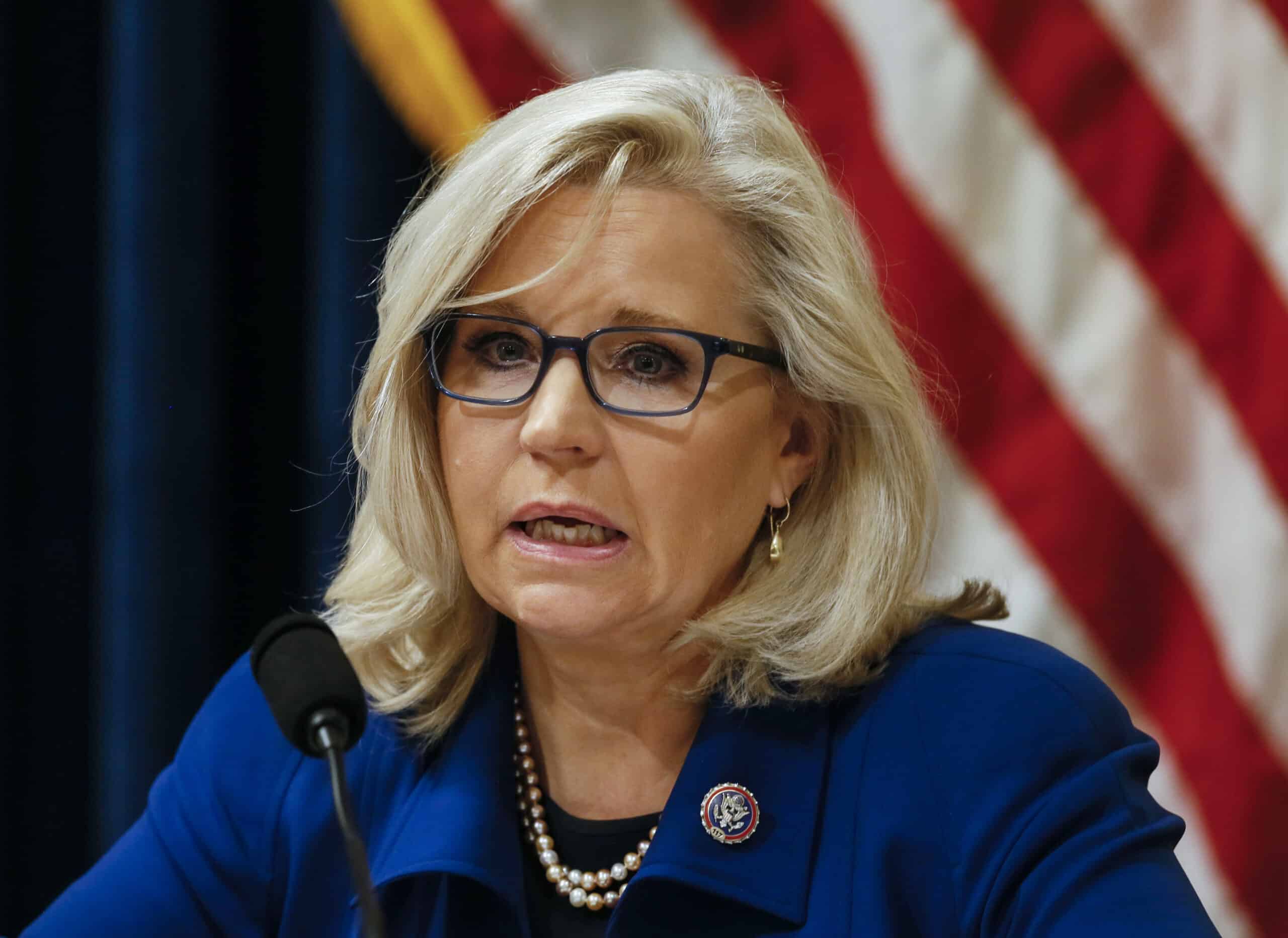 Rep. Cheney claims vote against her is vote against
Constitution 1