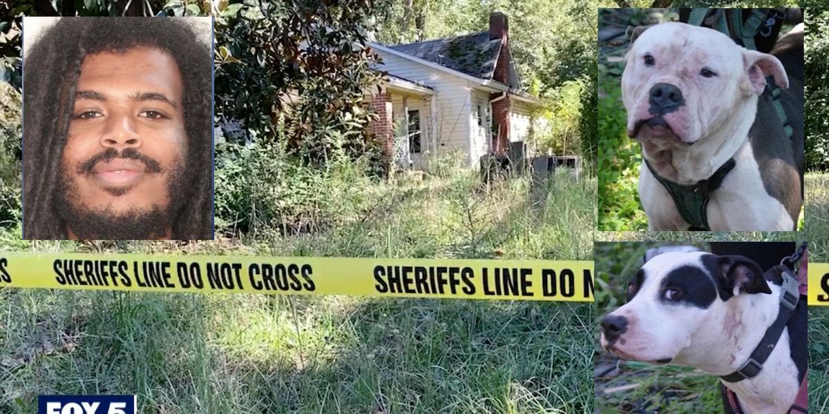 Georgia homeowner finds corpse on his porch after his dogs
mauled an alleged home intruder to death 1