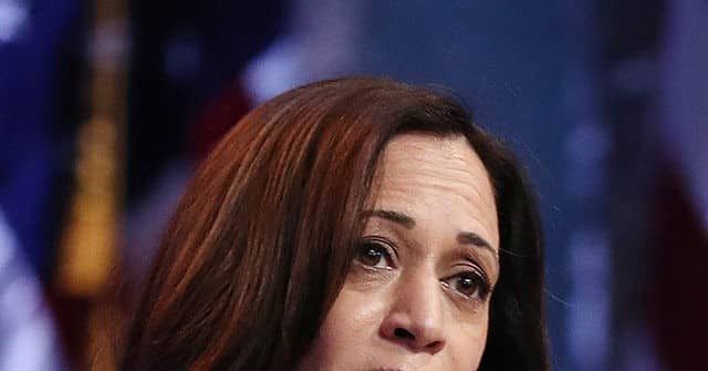 Kamala Harris’s Latest Job: Campaign Across the Country to
Recruit Minority Voters to Democrat Party 1