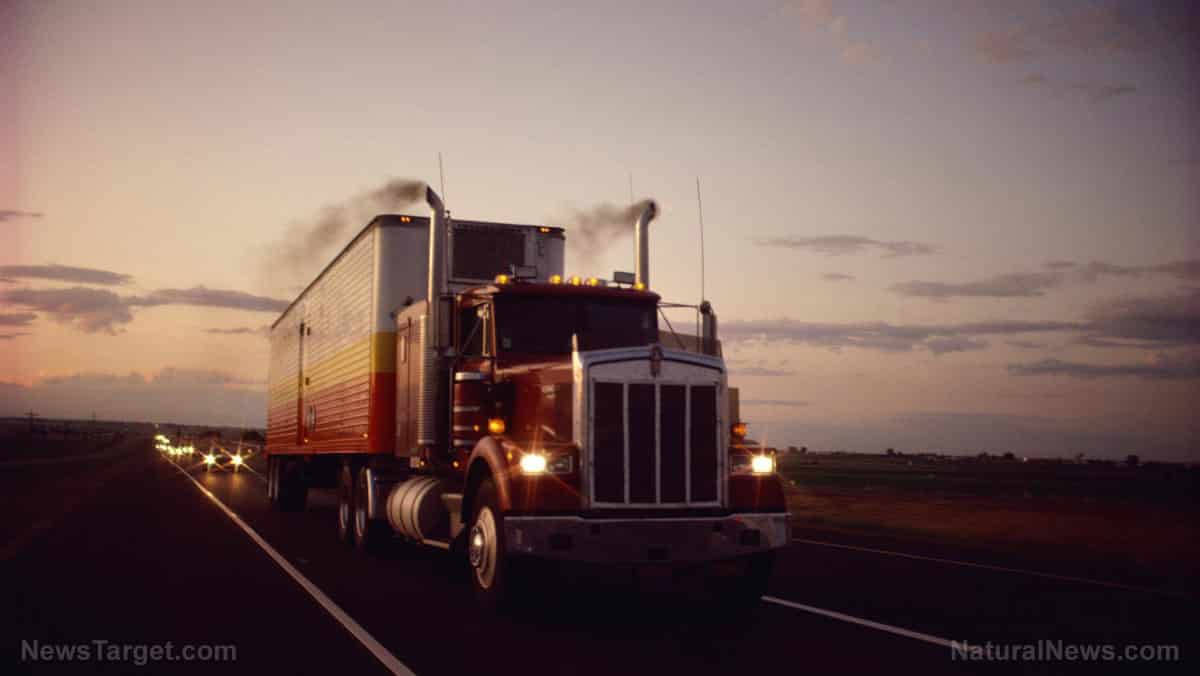 California temporarily increases weight limit for trucks in
bid to resolve port congestion crisis 1