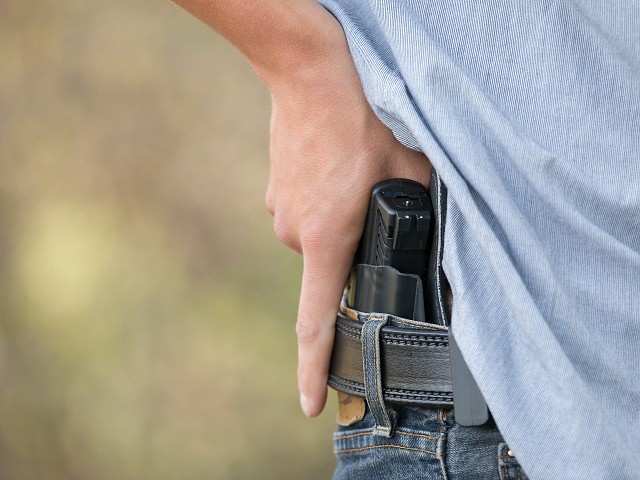 Michigan Democrat: 'Insane' to Allow Teachers to Have Guns
for Classroom Defense 1