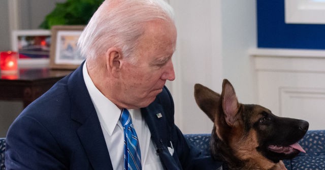 Joe Biden Recalls Putting Dead Dog on Republican Voter's
Door Step 1